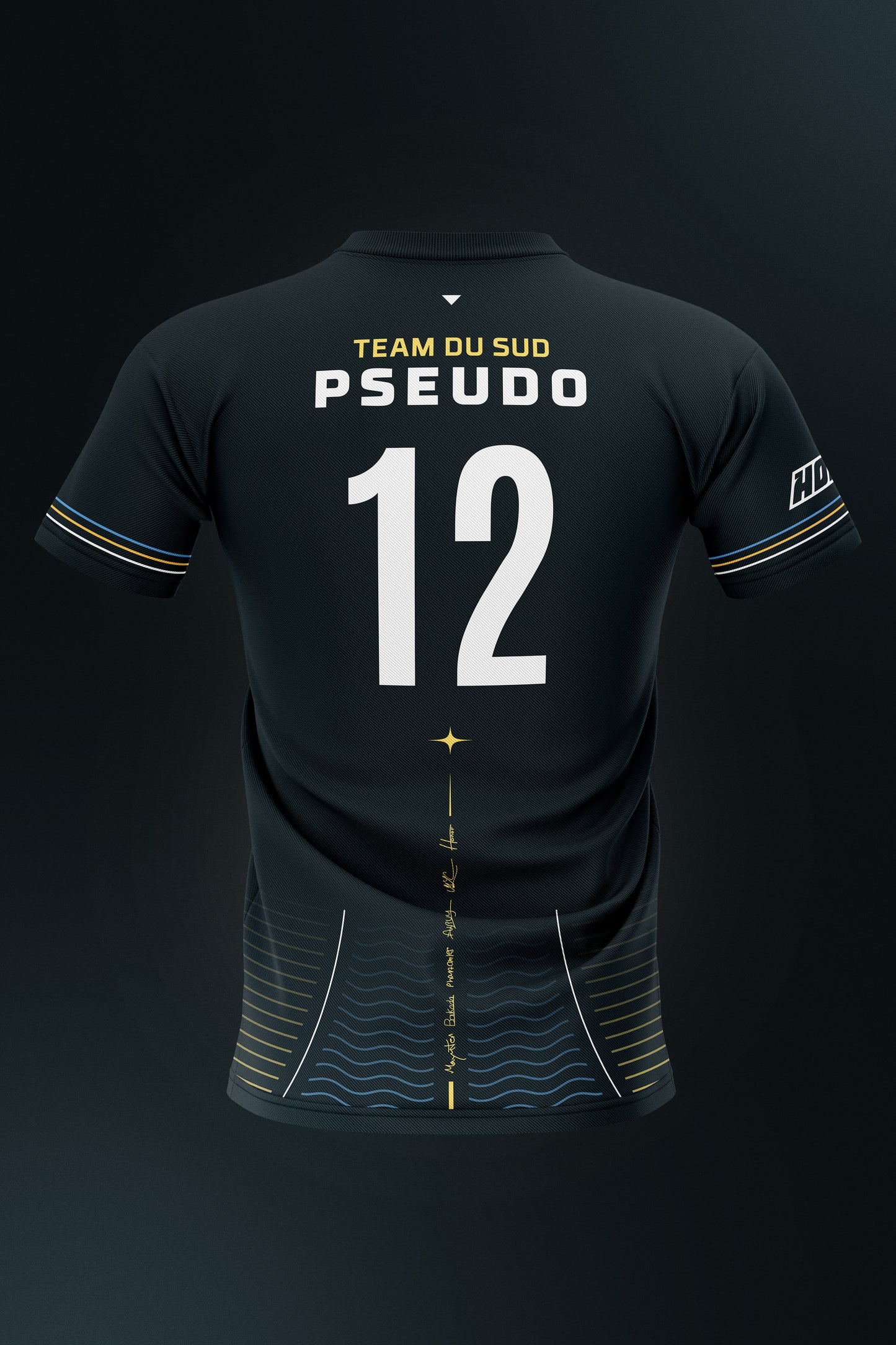 Maillot TEAM DU SUD 2023 - PERFECT YEAR