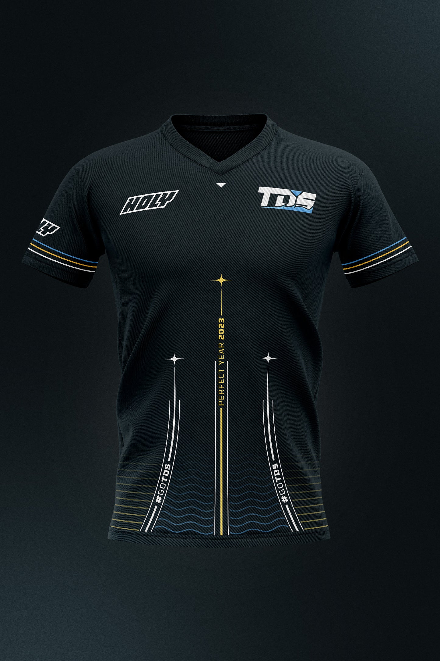 Maillot TEAM DU SUD 2023 - PERFECT YEAR
